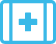 Medical Issues Icon