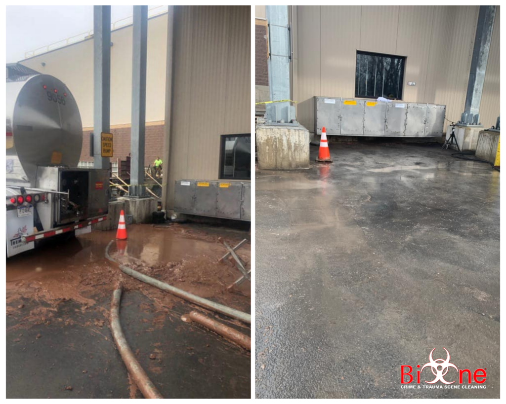 Bio-One Milk Chocolate Spill Before and After Bio-One Milk Chocolate Spill Before and After